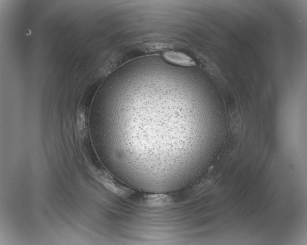 X0000078870087200611271312