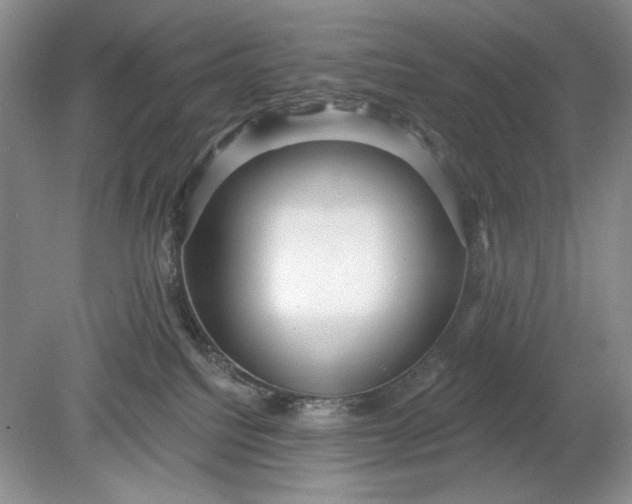 X0000078870088200611271312