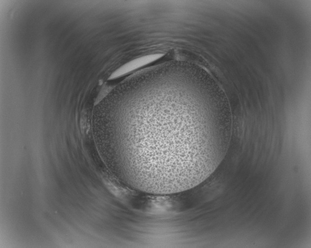 X0000078870091200611271312