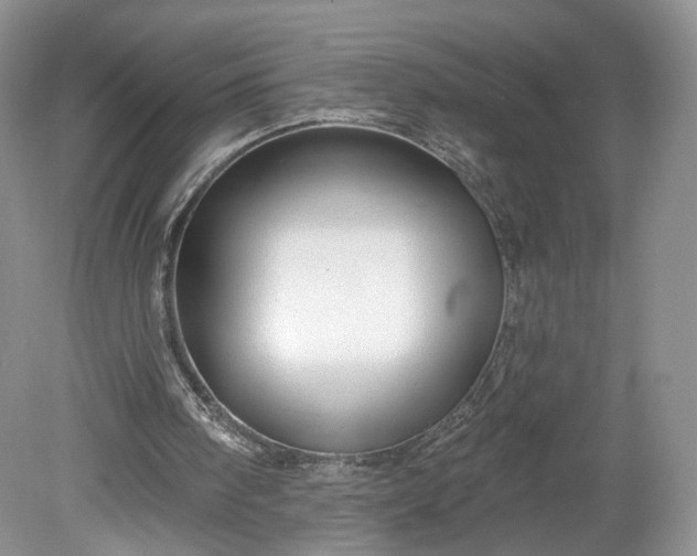 X0000078870098200611271311