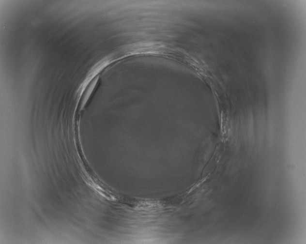 X0000078870099200611271311