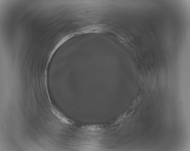 X0000078870100200611271311