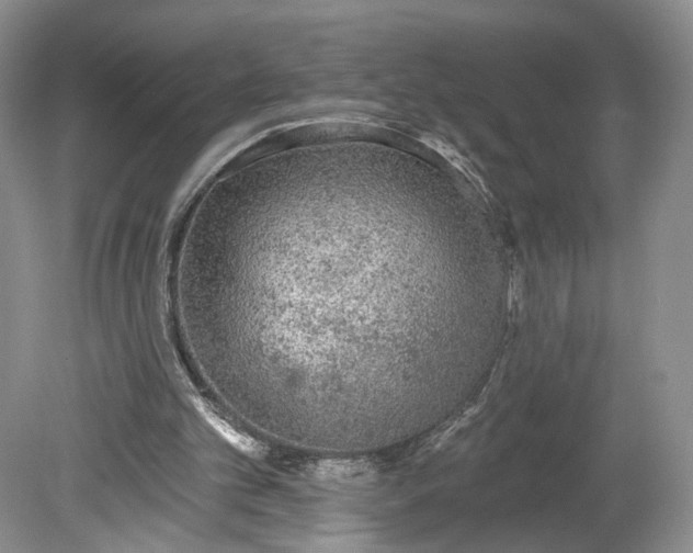 X0000078870101200611271311