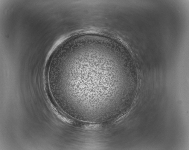 X0000078870102200611271311