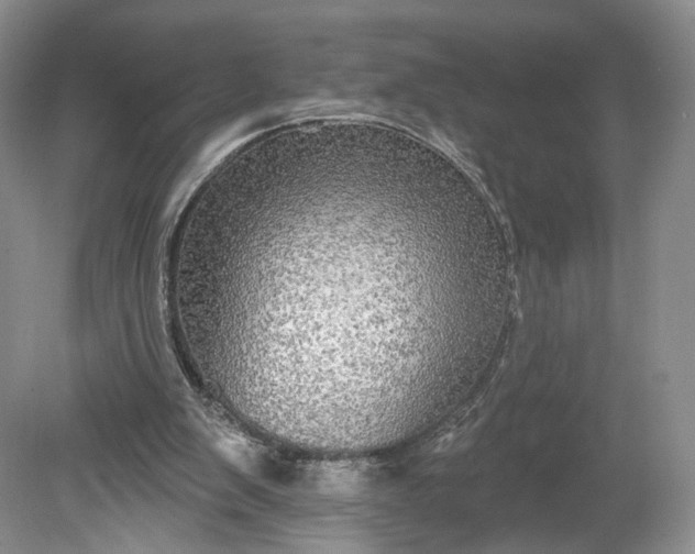 X0000078870103200611271311