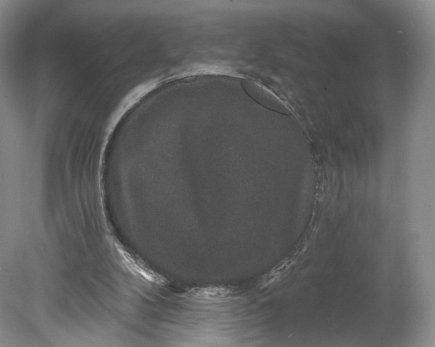 X0000078870104200611271311