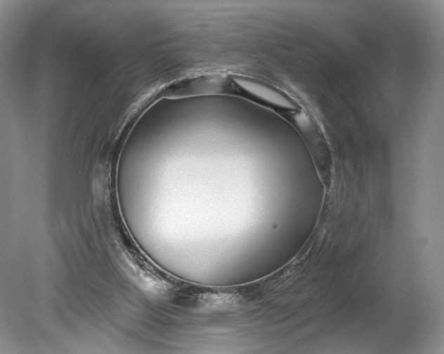 X0000078870107200611271311