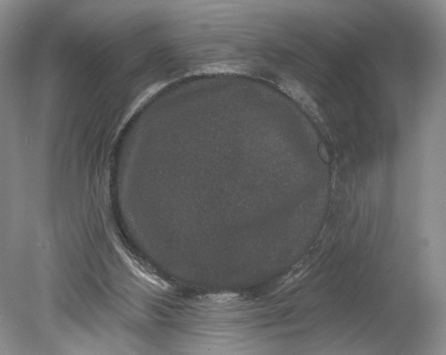 X0000078870108200611271311