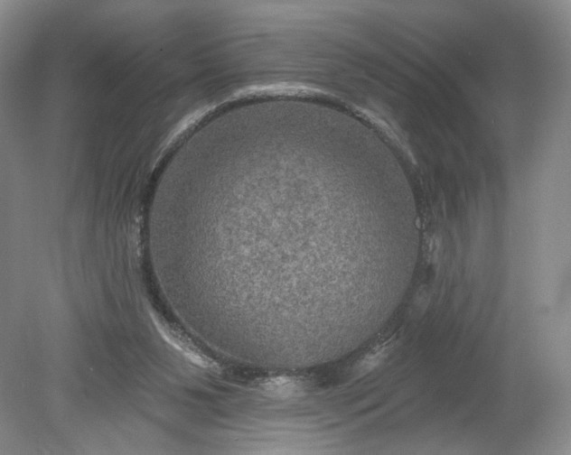 X0000078870111200611271311