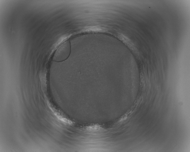 X0000078870112200611271311