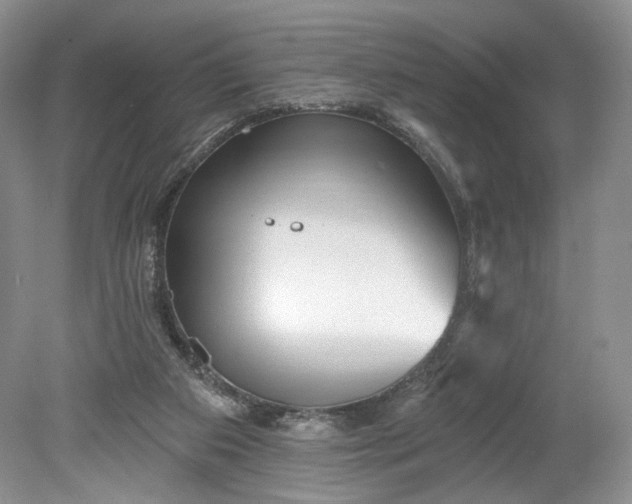 X0000078870113200611271311