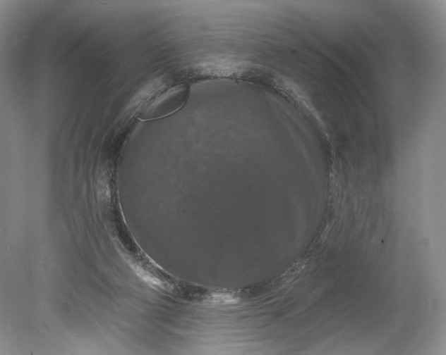 X0000078870114200611271311