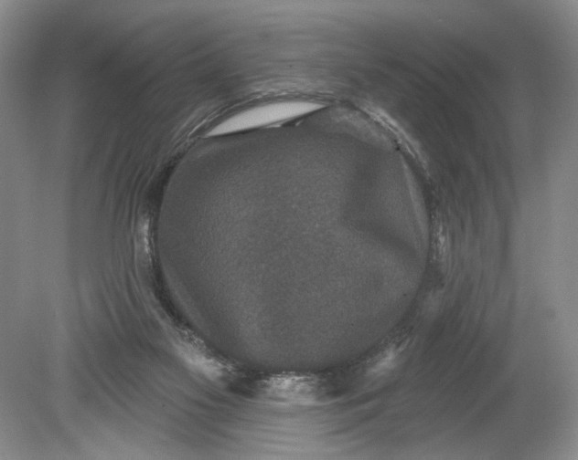 X0000078870117200611271311