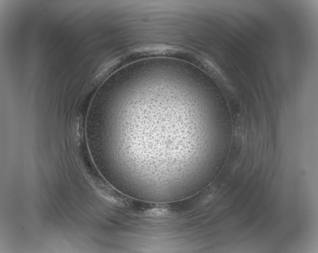 X0000078870119200611271311