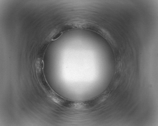 X0000078870121200611271311