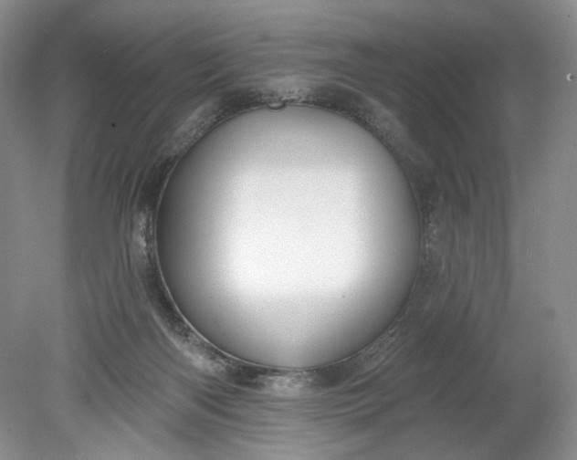 X0000078870122200611271311