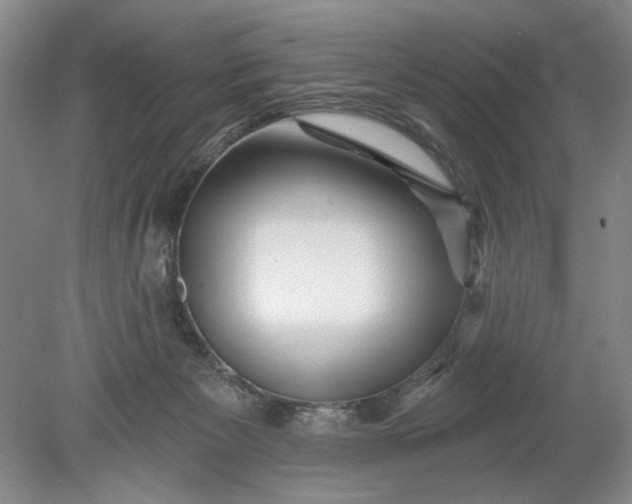 X0000078870125200611271311