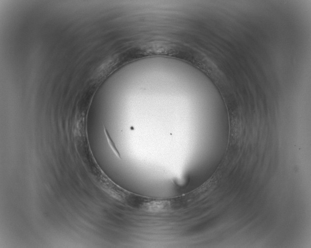 X0000078870126200611271311