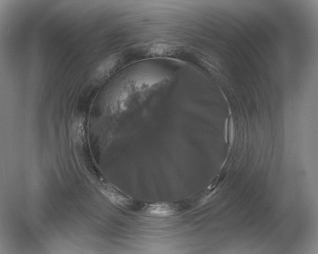 X0000078870127200611271311