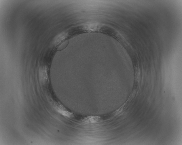 X0000078870128200611271311