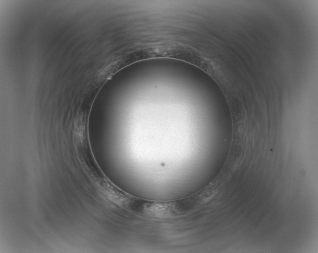 X0000078870129200611271311