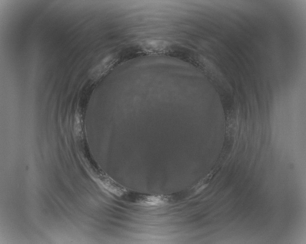 X0000078870130200611271311