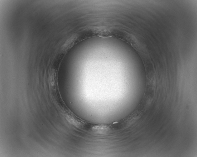 X0000078870133200611271311