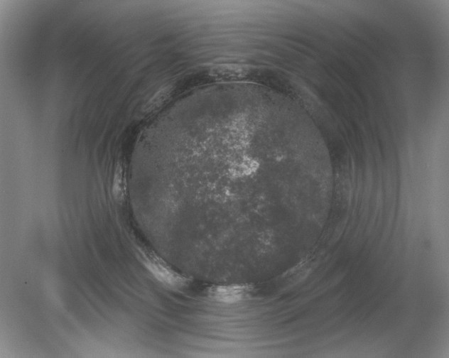 X0000078870134200611271311