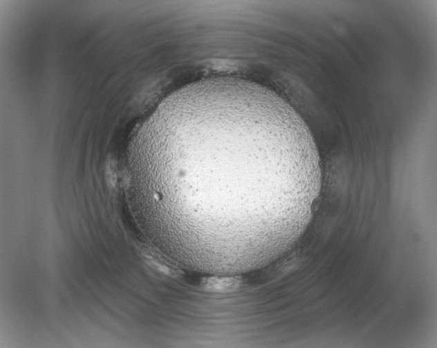 X0000078870135200611271311