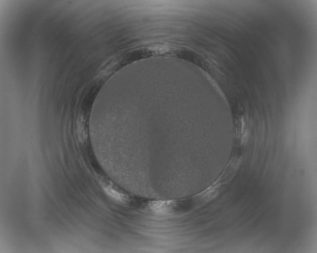 X0000078870136200611271311