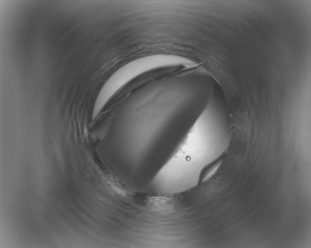 X0000078870139200611271311