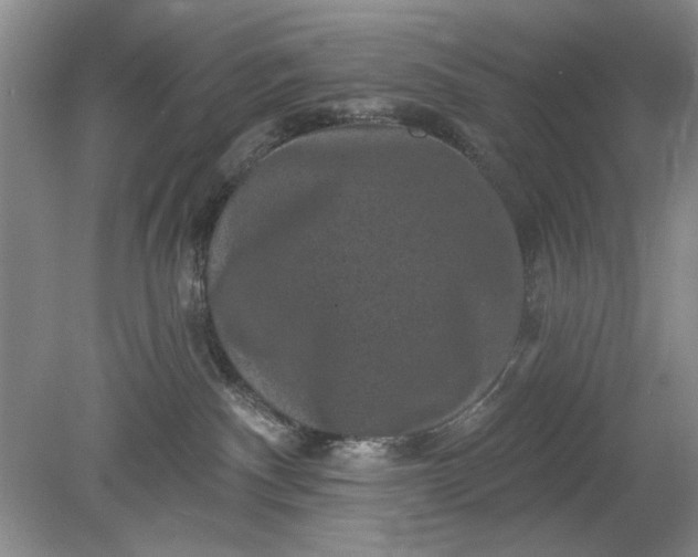 X0000078870140200611271310