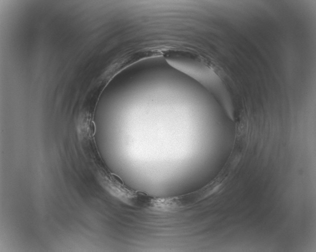 X0000078870141200611271310