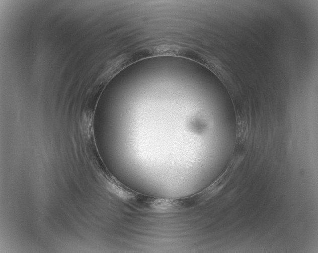 X0000078870142200611271310