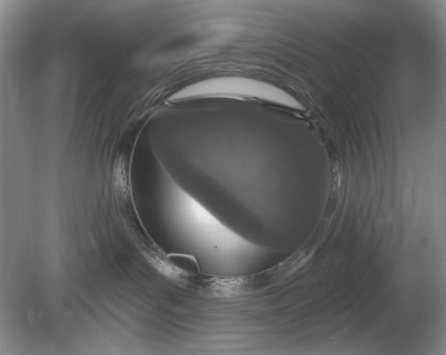 X0000078870143200611271310