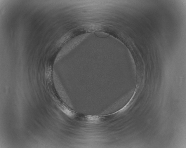 X0000078870144200611271310