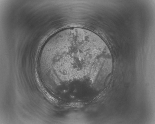 X0000078870145200611271310