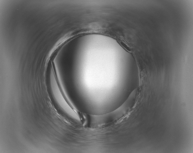 X0000078870150200611271310