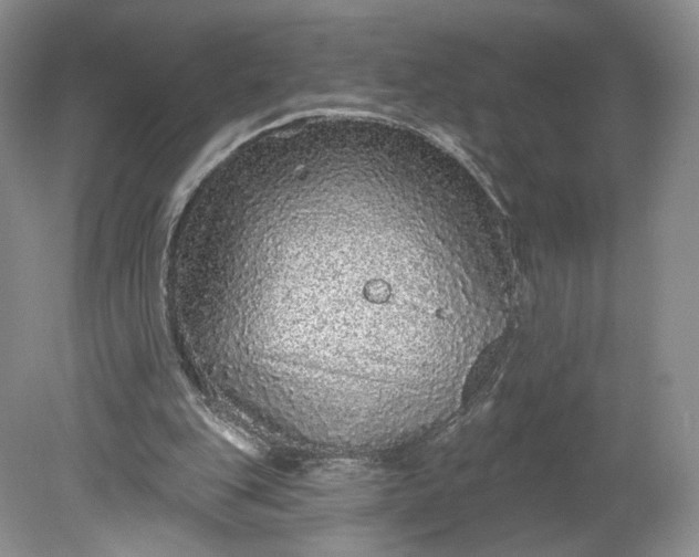 X0000078870151200611271310