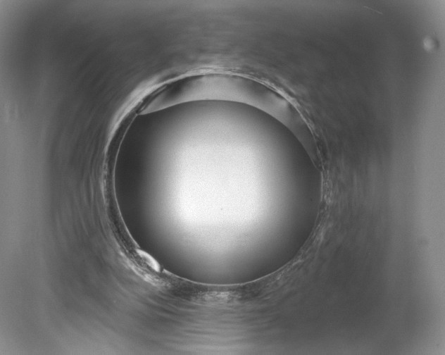 X0000078870152200611271310