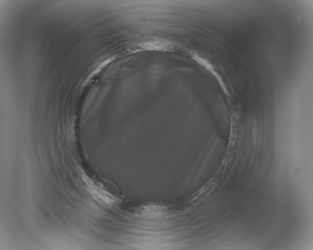 X0000078870154200611271310