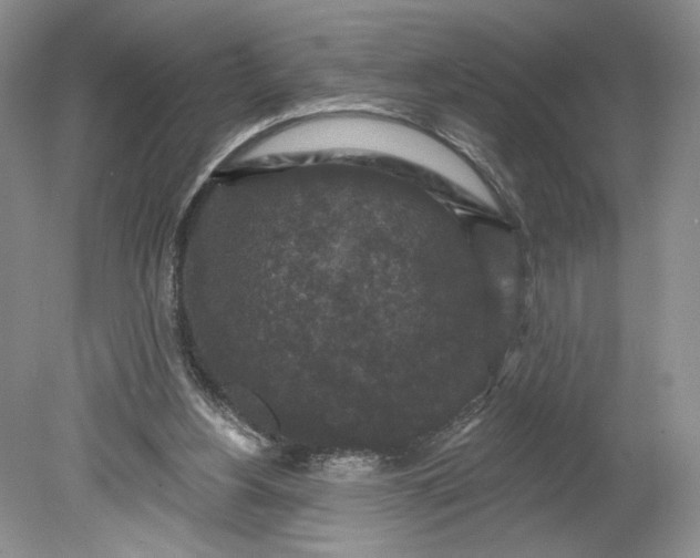 X0000078870156200611271310