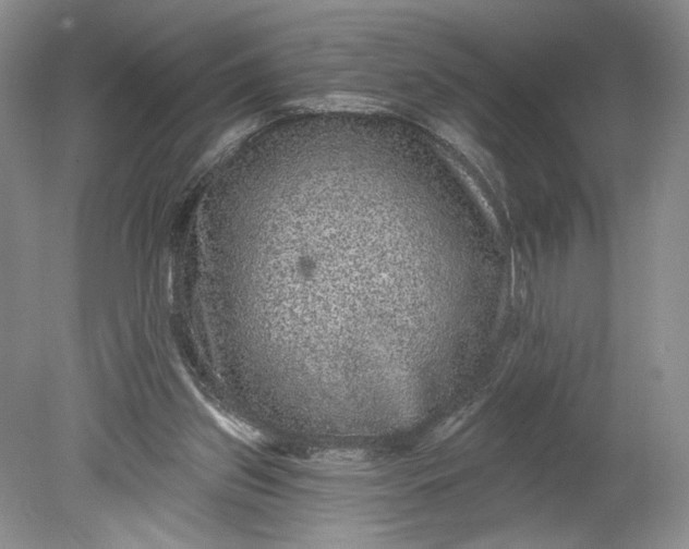 X0000078870157200611271310