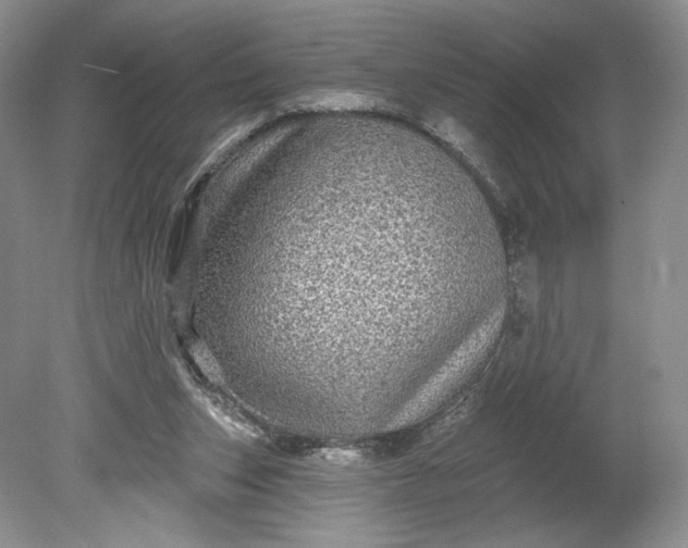 X0000078870159200611271310