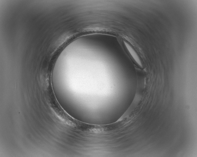 X0000078870160200611271310