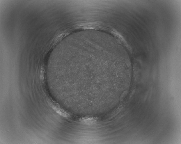 X0000078870161200611271310