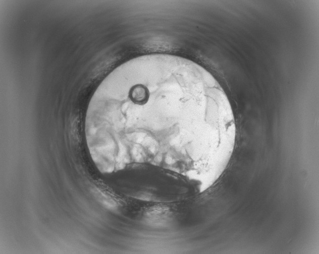 X0000078870162200611271310