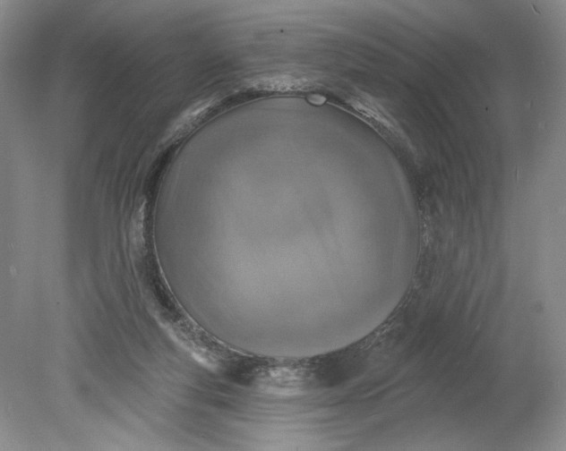 X0000078870163200611271310