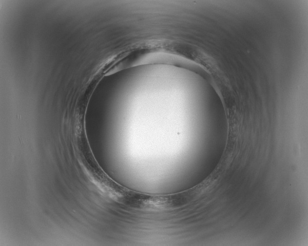 X0000078870164200611271310