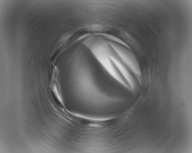 X0000078870167200611271310